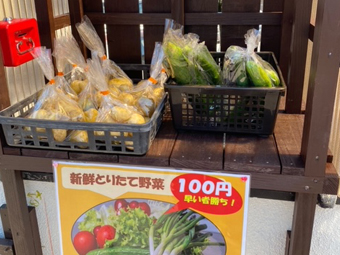 畑作業