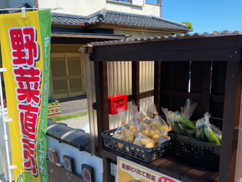 畑作業