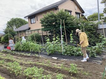 畑作業