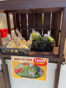 就労支援B型いっぽの新鮮野菜が盛りだくさん??? | 特定非営利活動 